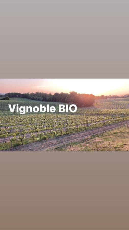 Gite Les Vignes Cravenceres Exterior photo